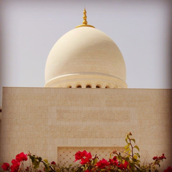 Meet your Posher, Raba'ah - Picture 1 of 1